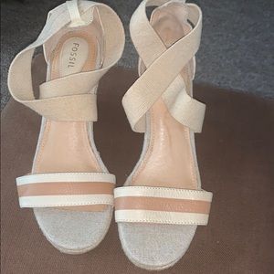 Fossil wedges